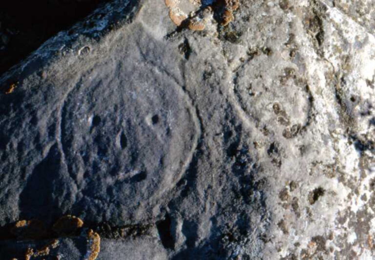 MAS 1st Site 3 768x533